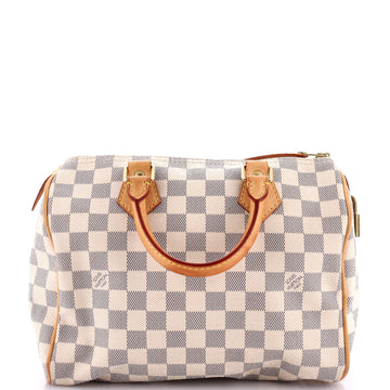Speedy Handbag Damier 25