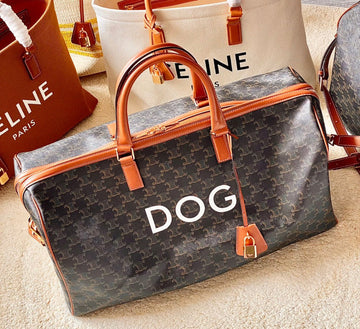 Chanel Bag New Arrival Luxury Bag - 696