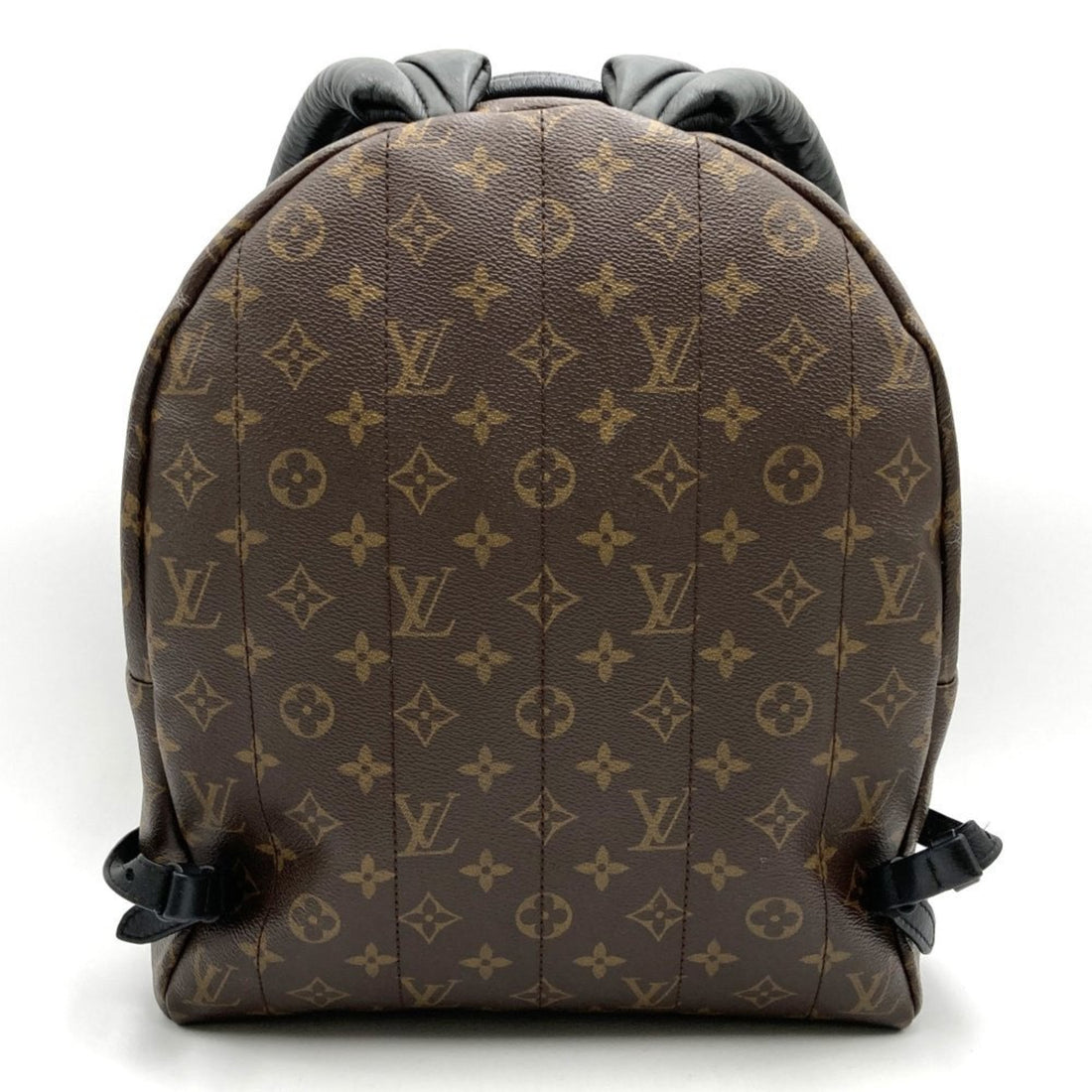 Louis Vuitton Palm Springs  Canvas Backpack Bag