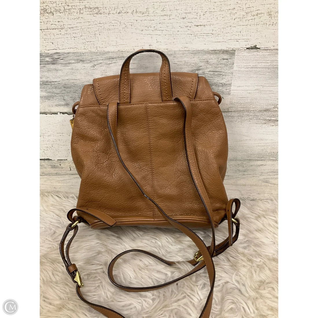 Backpack Designer By Coach, Size: Medium