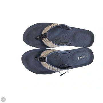 Sandals Designer By Coach In Brown, Size: 8.5
