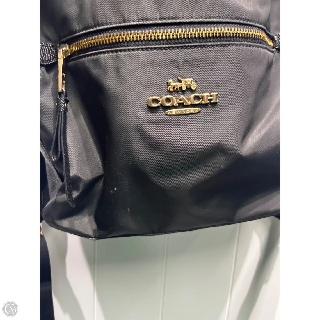 Backpack Designer By Coach, Size: Large