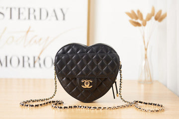 Pearl Street Bags - CHL Bags - 3019