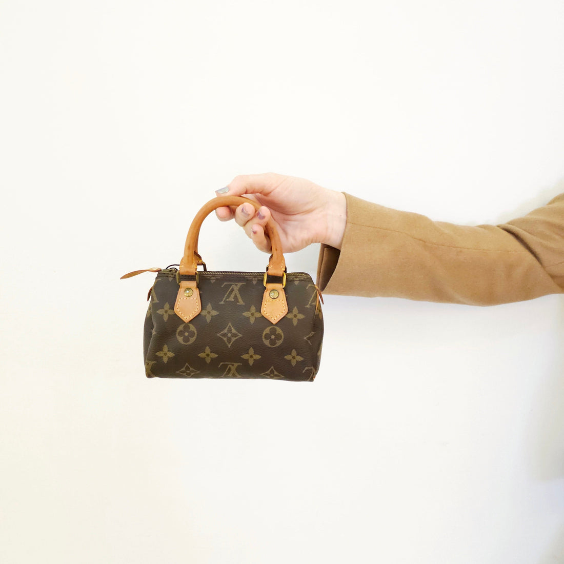 Louis Vuitton Monogram Speedy Nano (M41534 TWS