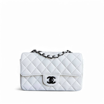 Chanel Classic Flap Mini - Togo/epsom/caviar/clemence/callfskin/cowhide/lambskin 20CM Quilted White Black Hardware Series 24
