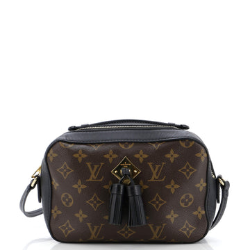 Saintonge Handbag Monogram Canvas with Leather
