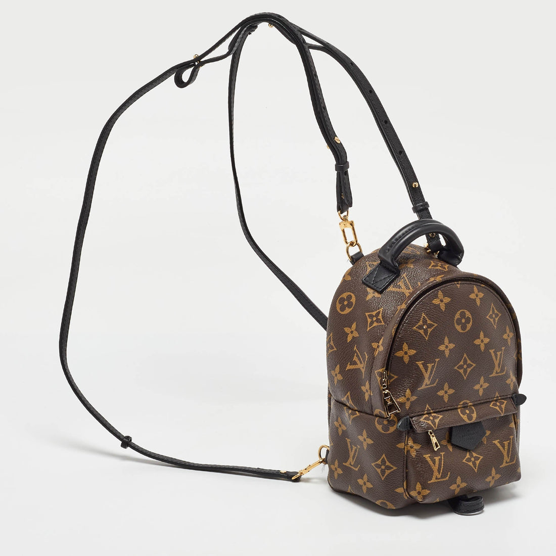 Louis Vuitton Monogram Canvas Mini Palm Springs Backpack