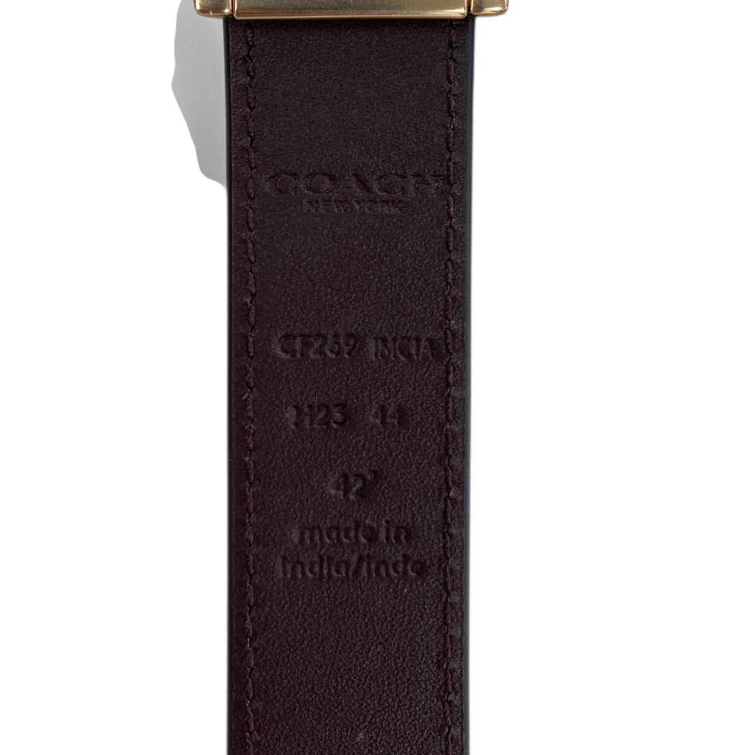 Belt Designer By Coach In Black