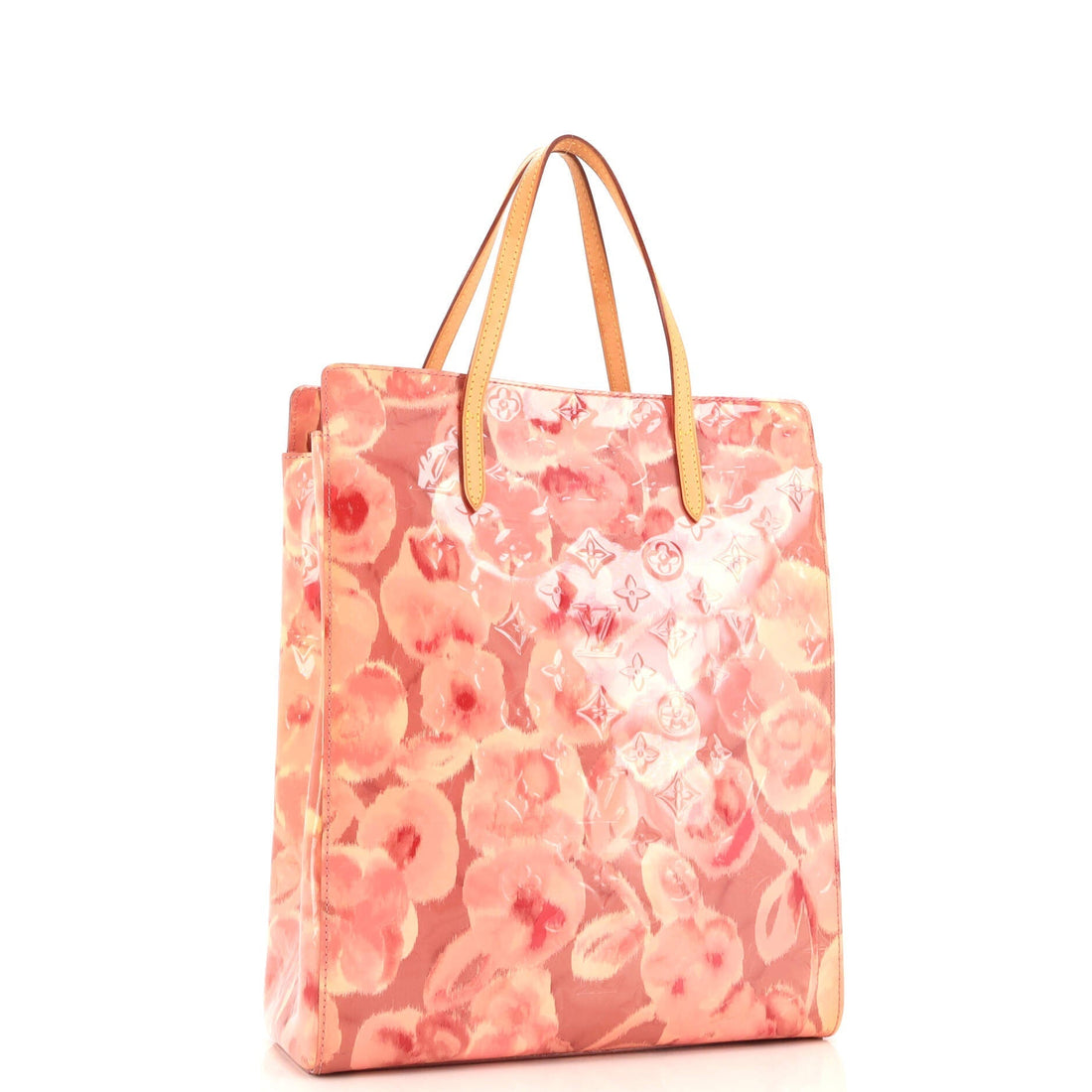 Catalina Handbag Limited Edition Monogram Vernis Ikat North South