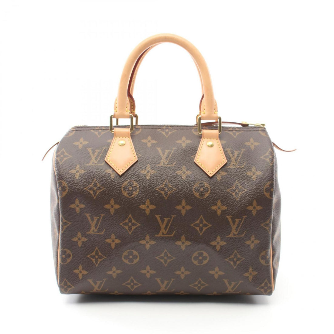 Louis Vuitton  Pvc Leather Handbag