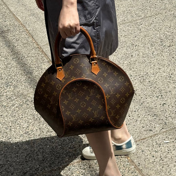 Louis Vuitton Monogram Ellipse Bag