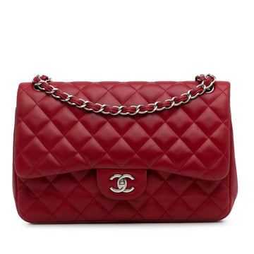 Pearl Street Bags Chanel Jumbo Classic Lambskin Double Flap (SHG-EMzWHY)
