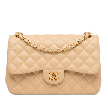 Pearl Street Bags Chanel Jumbo Classic Lambskin Double Flap (SHG-evy6Et)