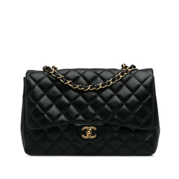 Pearl Street Bags Chanel Jumbo Classic Lambskin Single Flap Bag (SHG-9yqInb)