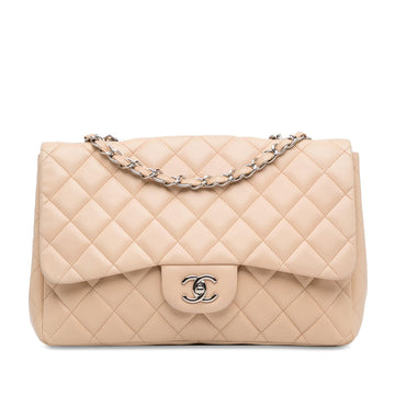 Pearl Street Bags Chanel Jumbo Classic Lambskin Single Flap (SHG-gKWzLM)