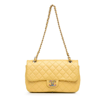 Pearl Street Bags Chanel Medium Classic Lambskin Precious Jewel Single Flap (SHG-lt3YtA)