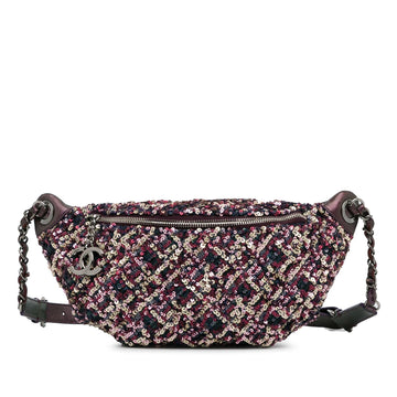 Pearl Street Bags Chanel Sequin and Metallic Lambskin Belt Bag (SHG-8A8QLt)