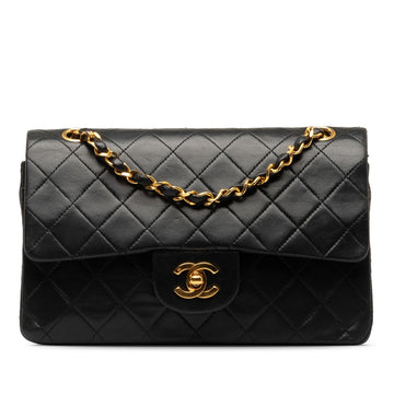 Chanel Small Classic Lambskin Double Flap (SHG-RTXYTz)