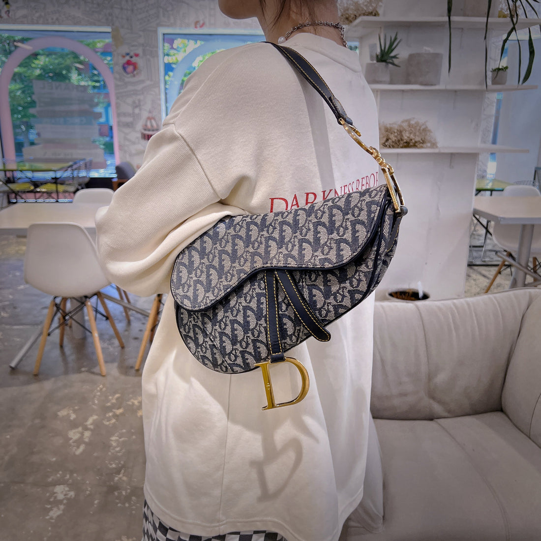 Dior Trotter Saddle Bag TWS