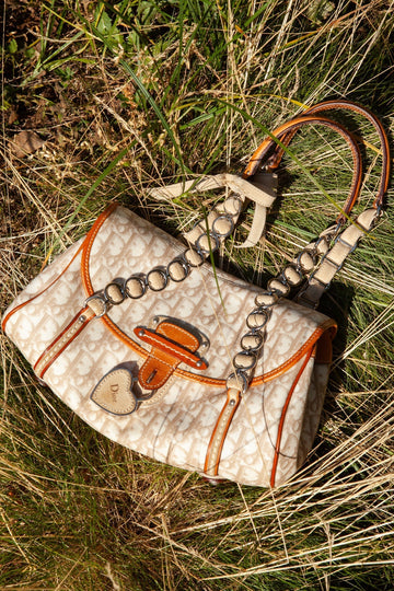CHRISTIAN DIOR  Trotter Romantique Diorissimo Bag