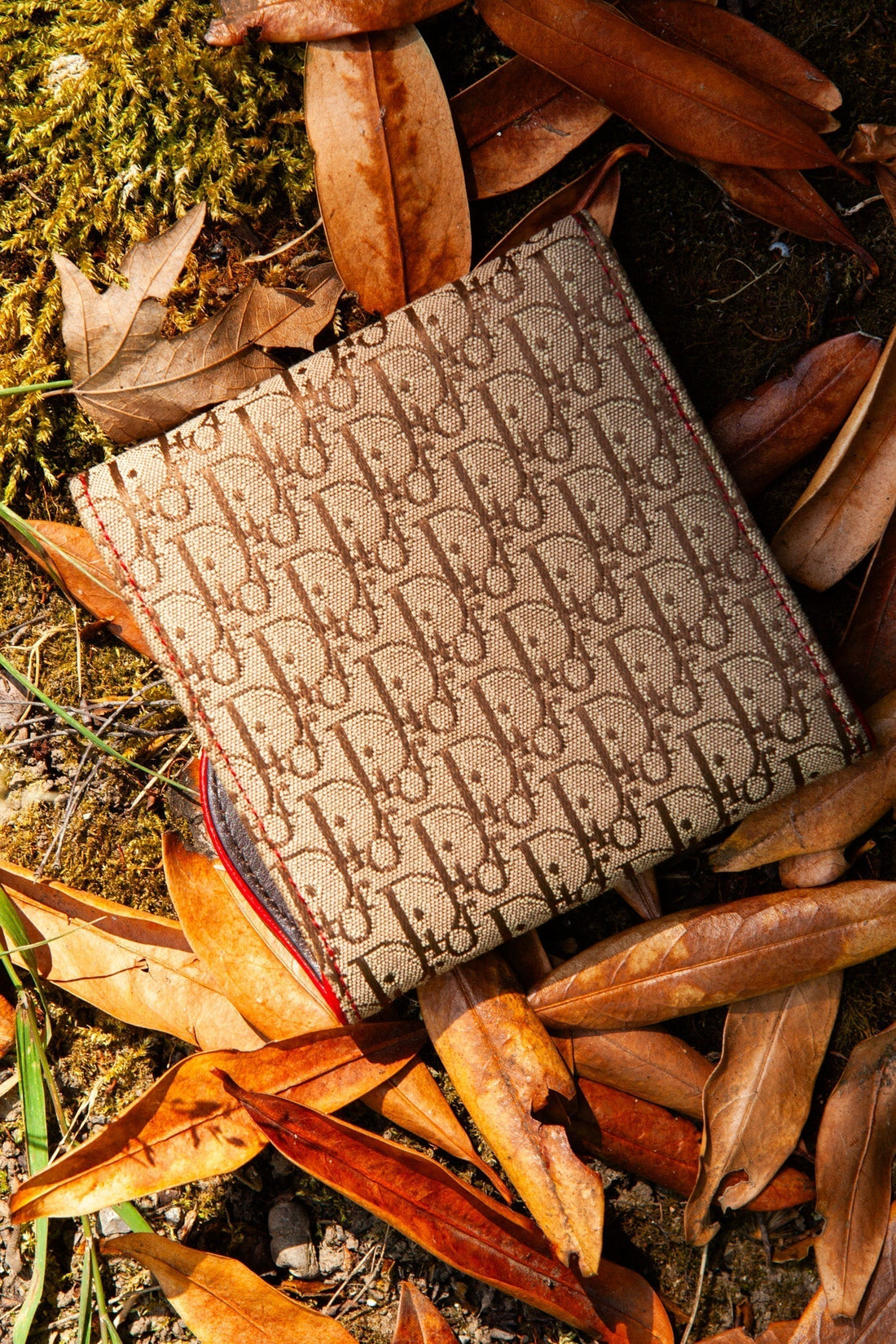 CHRISTIAN DIOR  Saddle Wallet Rasta Diorissimo Brown