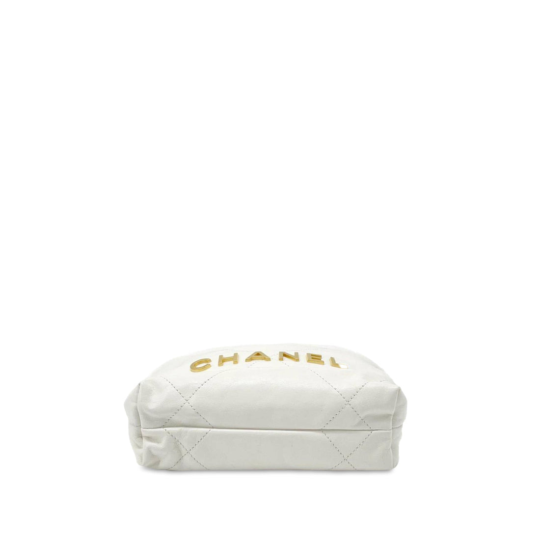 CHANEL CalBNkin Mini 22 Satchel