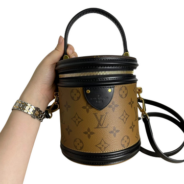 Louis-Vuitton Cannes Monogram Reverse Vanity Bag
