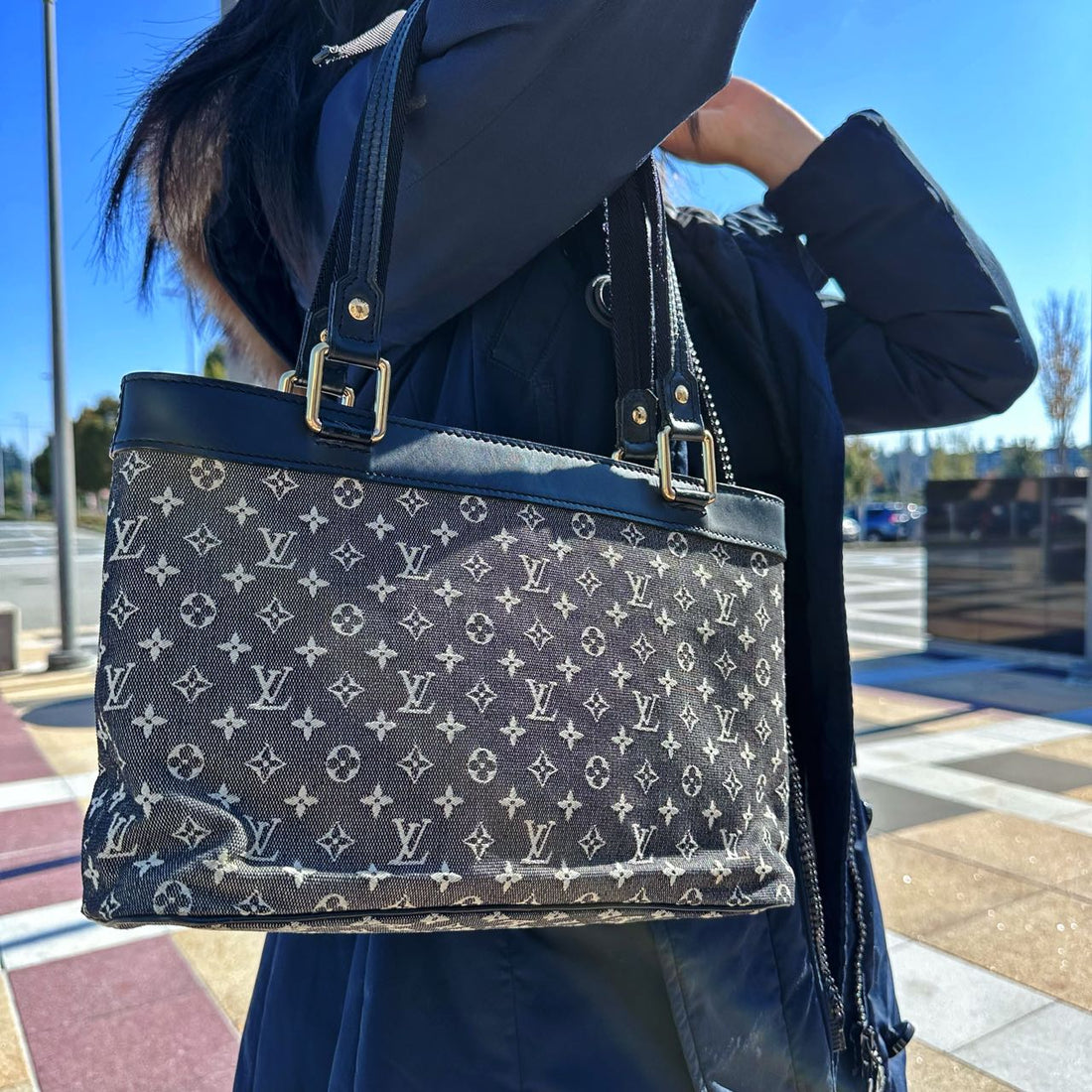 Louis Vuitton Monogram PM Canvas Lucille Shoulder Bag