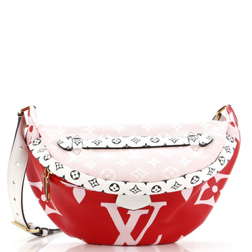 Bum Bag Limited Edition Colored Monogram Giant