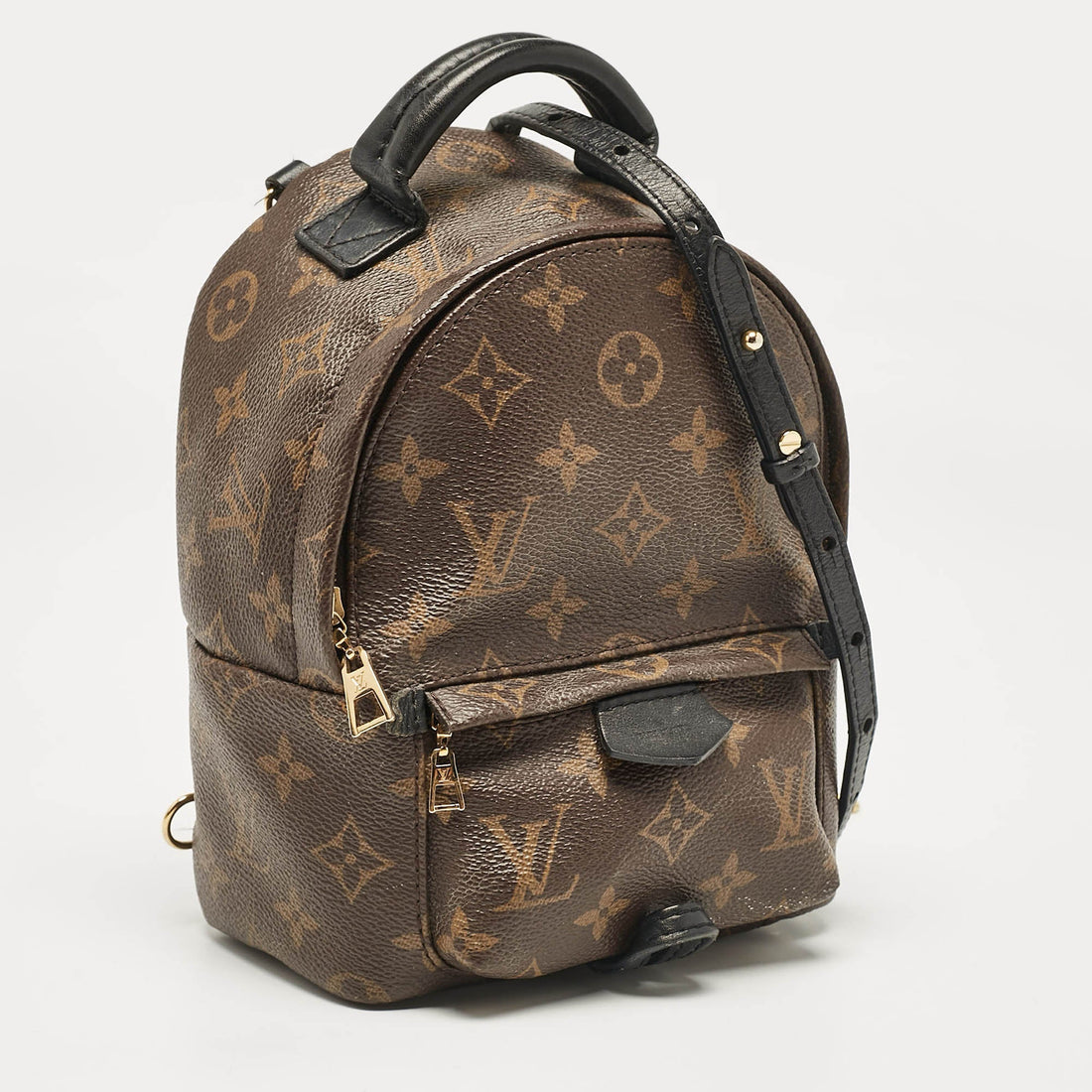 Louis Vuitton Monogram Canvas Mini Palm Springs Backpack