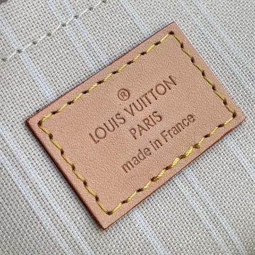 Louis Vuitton Multi-Pochette Accessories Bag