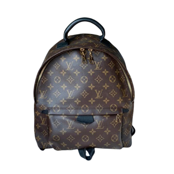 Louis-Vuitton Monogram Palm Springs MM Brown