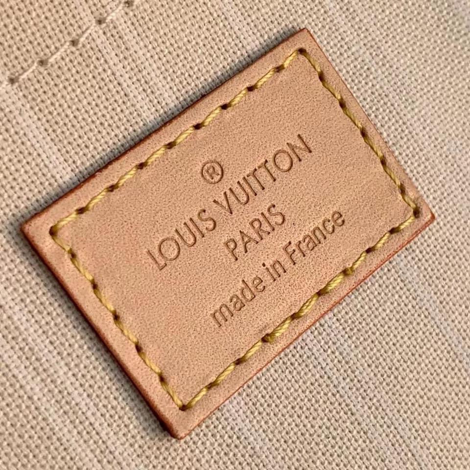 Louis Vuitton Multi Pochette Accessories Bag