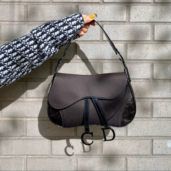 Dior  Double Saddle Bag TSW POP