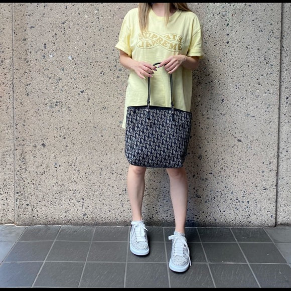 Christian Dior  Trotter Tote Bag