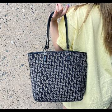 Christian Dior  Trotter Tote Bag